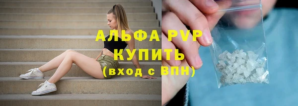 шишки Касимов