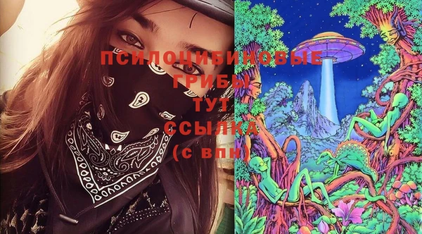 крисы Карпинск