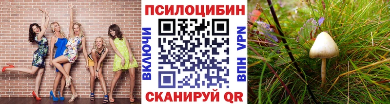 купить  сайты  Лесной  Галлюциногенные грибы Psilocybine cubensis 