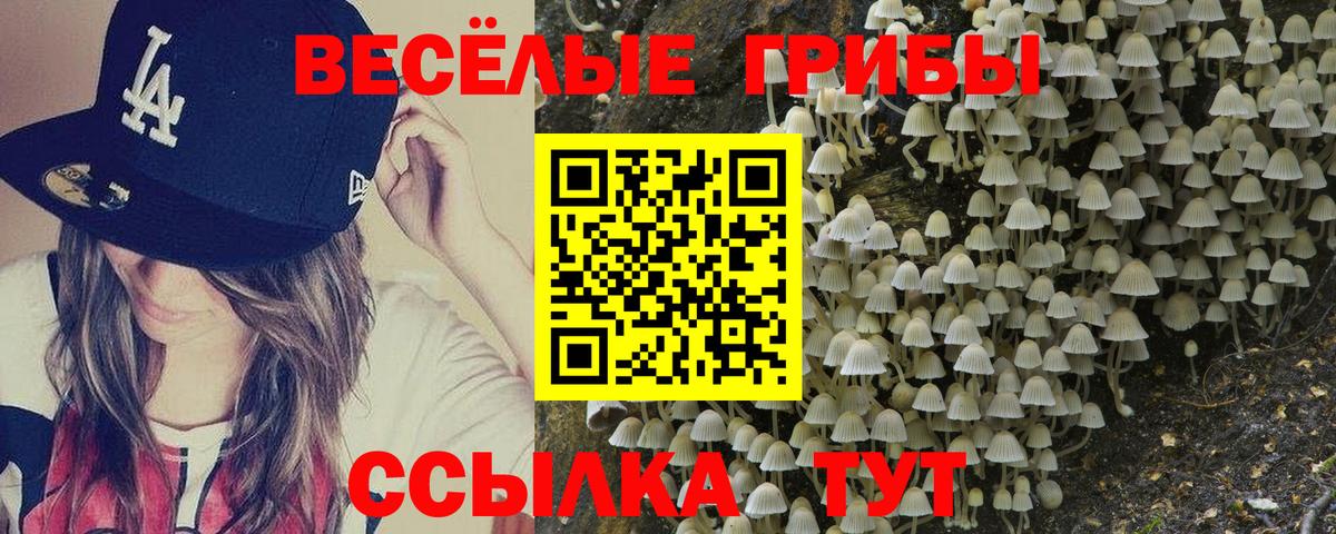 Псилоцибиновые грибы ЛСД  Вход с VPN  купить наркотики сайты  Лесной 