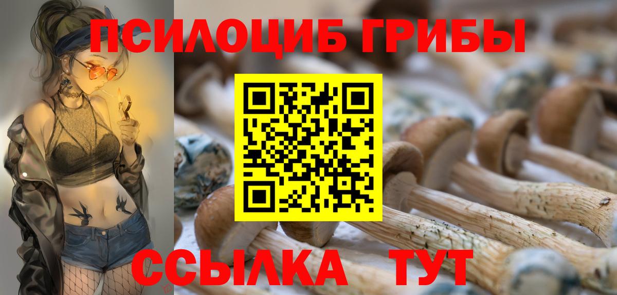 Галлюциногенные грибы ЛСД Лесной